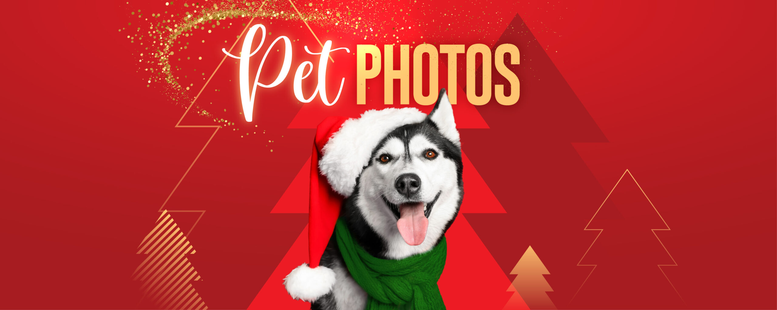 Banner featuring a Husky in Christmas attire. Text reads 